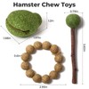 mini&moe Hamster Chew Toys for Teeth – Guinea Pig Chew