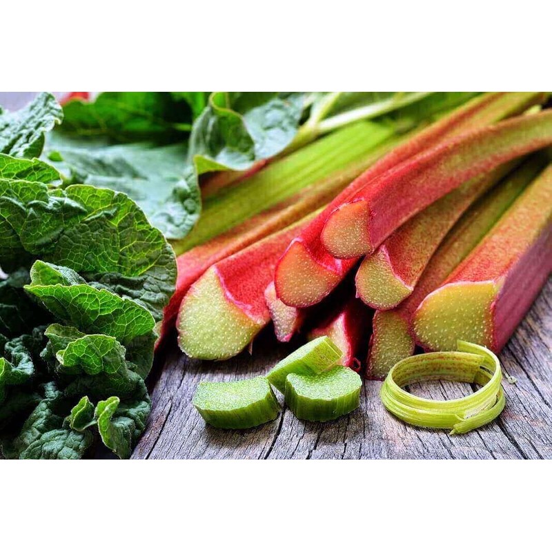 RAISE ME UP: Seeds Rhubarb Victoria Giant Red Stalk Non