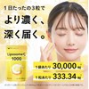 Liposome C 1000 リポソーム 90粒 30日分【90粒入×1袋】 ビタミンC シードコムス