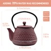 20.3oz Small Cast Iron Teapot, SECHUDO Cast Iron Tea Kettle