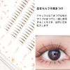 LASHIDOL Partial False Eyelashes, Natural Point Fit, Home Self Pine