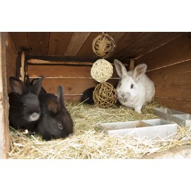 Pipkins Natural Playball - Hanging Mobile for Guinea Pig, Rabbit and Hamster Home - Rabbit Toy, Guinea Pig Toy, Hamster Toy and Cage Accessory