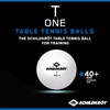 Donic Schildkrot Unisex's 1-T One Poly 40+ Training Ball, Multi-Colour,