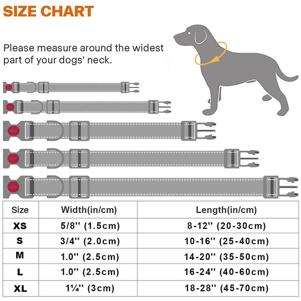 Light Up Dog Collar Light LED Dog Collar Waterproof Rechargeable