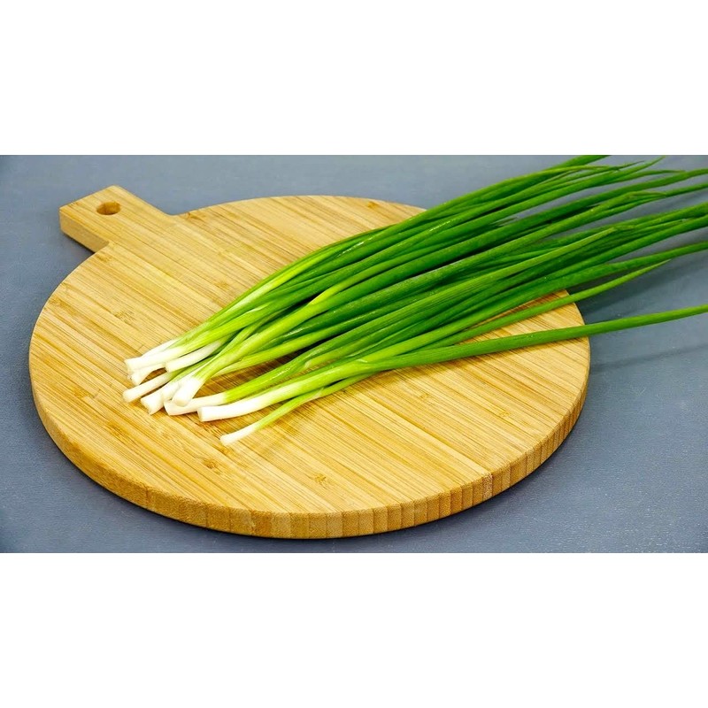 Bunching Green Onion Seeds Scallions About 300 Non-GMO Seeds for