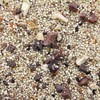 Worldly Cuisines Bird Food Appetizer