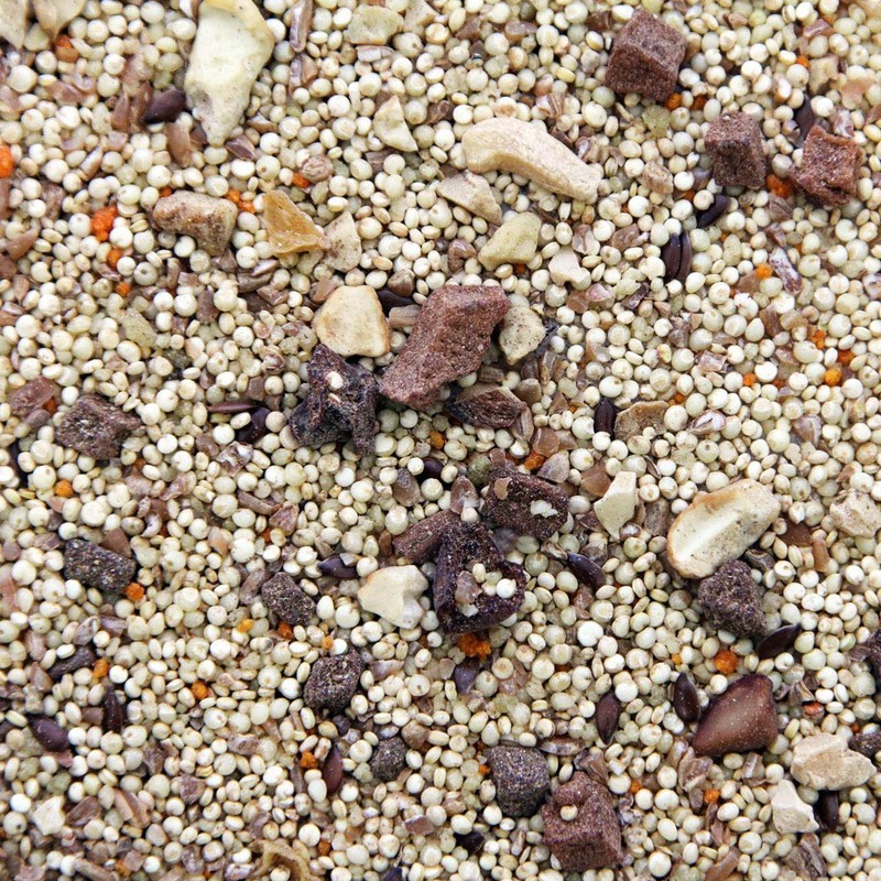 Worldly Cuisines Bird Food Appetizer