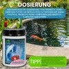 Home Pond Probiotic Pond Starter Bacteria for Garden Pond/Pond for