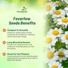 Outsidepride Feverfew Chrysanthemum Seeds - 5000 Pcs. Perennial, Drought Tolerant