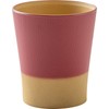 Kanoh Gentle Coloring Antibacterial Cup, Akane