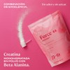 B-FIT B Creabet - Creatina Monohidratada Pura en Polvo -
