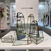WGV Geometric Terrarium, Width 4", Height 11.5", Clear DIY Succulent