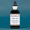 Olive Leaf