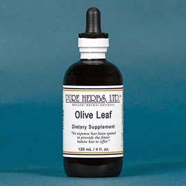 Olive Leaf