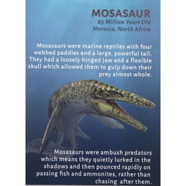 Car Bumper Sticker - My Gps Is Jesus Christ John 14 6