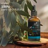 ArtNaturals 100% Pure Eucalyptus Essential Oil - (4.0 Fl Oz