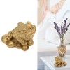 Money Toad Fortune Good Luck Attract Wealth Corrosion Resistant Three