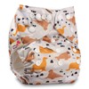 Littles & Bloomz, Reusable Pocket Cloth Nappy, Fastener: Popper, Set
