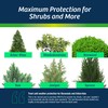 Wilt-Pruf® Organic Plant Protector | Winter Plant Spray | No
