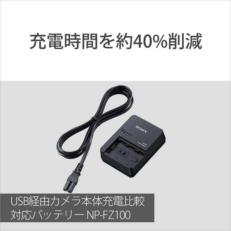 Sony ACC-QZ1K Accessory Kit (BC-QZ1+NP-FZ100)