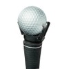 Longridge Eze Golf Ball Pickup - Black Clip On Putter