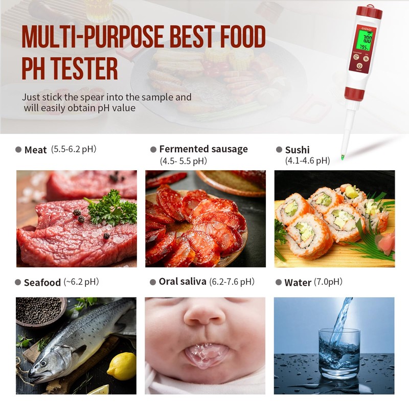 pH Meter for Food Digital pH Meter for Fermentation Hot