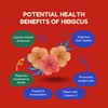 Don Ponchos - Hibiscus Flowers - Flor De Jamaica -