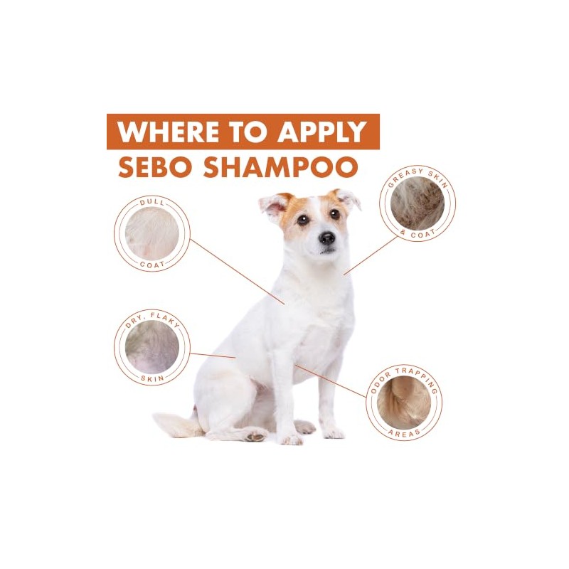 Dermoscent esencial 200ml 6 Sebo Champú para los animales domésticos