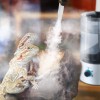 Dreyoo Reptile Humidifier Fogger, 4L Cool Mist Fog Mister with