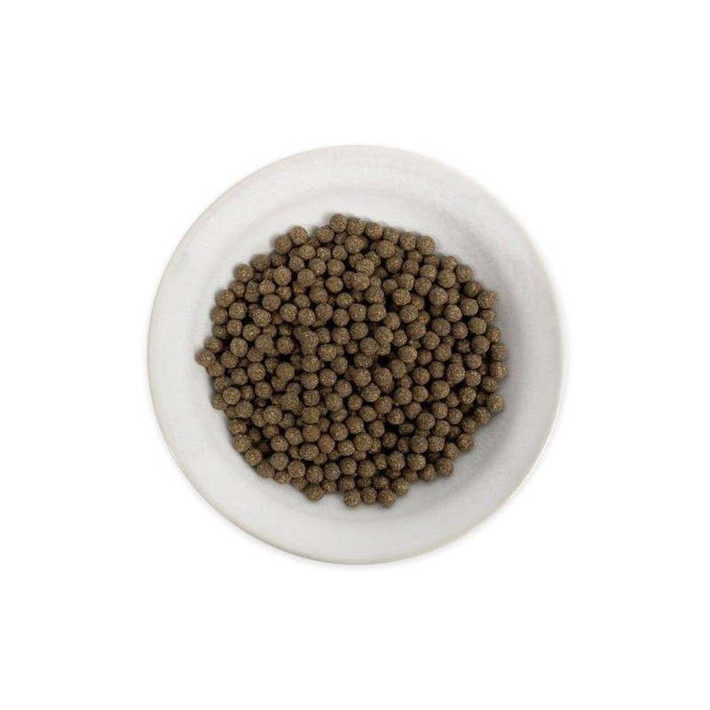 Chamgoods 국산 천마환 200g 2통 Domestic Cheonma Pills 200g 2