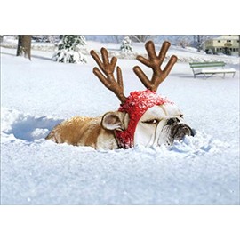 Bulldog Reindeer Avanti Funny/Humorous Dog Christmas Card
