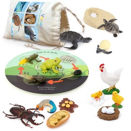 Volnau Animal Figurines Toys 17PCS Life Cycle Figure Set for Toddlers Kids Sea Turtle Frog Chicken Decorations Preschool Educational Prop