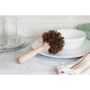 Fox Run 48767 5" Natural Tampico Fiber Kitchen Brush, 5