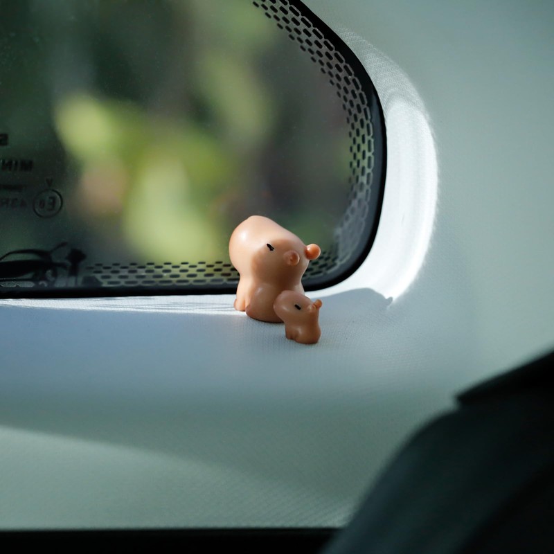 YGMONER 9 Pcs Mini Capybara Car Dashboard Figurine Decoration Cute