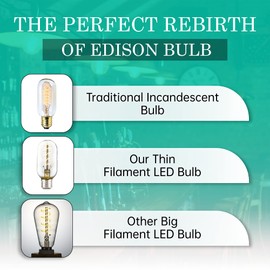 AMDTU Non-dimmable Edison Bulbs 40 Watt 2700K Soft White, Super Thin Spiral Filament Vintage LED Light Bulbs 2 Pack, T45 Incandescent Tubular Bulb 40W Equivalent, Clear Glass 4W 120V E26 Base