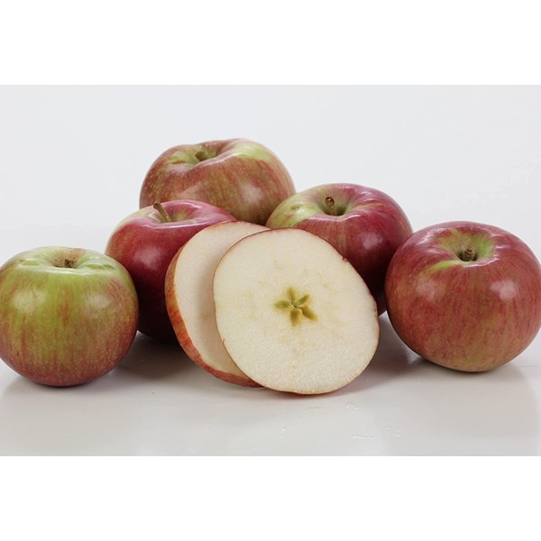 Kauffman Orchards Fresh Mcintosh Apples, Hand-Picked New-Crop Wax-Free Heirloom Macintosh Apples (Box of 8)