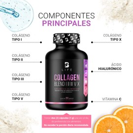 Colágeno Hidrolizado Tipo I, II, III, V y X de 90 Cápsulas 1000 mg por porción. Adicionado con Vitamina C y Ácido Hialurónico. Ingredientes Naturales. Collagen Blend I, II, III, V X B Life