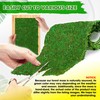 DUSPRO 71"x11" Sheet Moss Roll, Peel and Stick Moss Sheets