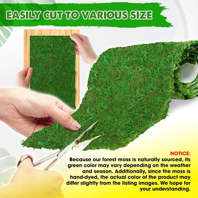 DUSPRO 71"x11" Sheet Moss Roll, Peel and Stick Moss Sheets