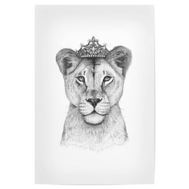 artboxONE Bundle, The Lioness Queen - Lion Queen, 30x20 cm