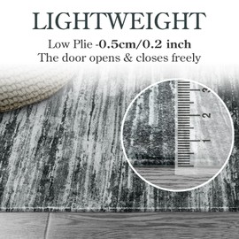 Lahome Modern Ombre Living Room Area Rug - 3x5 Non-Slip Washable Stain Resistant Kitchen Rugs Throw Soft Lightweight Bedroom Carpet, Black Grey Multi Abstract Rug for Office Bathroom Entryway