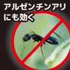Ants Combat α (Alpha), , ,