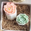 Orange Flower Pot Honeysuckle Soap Succulent Gift Box Women/Care Package/Birthday/Friendship