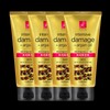 Elastine Argan Oil Damage Treatment 300ml 4pcs / 엘라스틴 아르간오일 데미지 트리트먼트300ml 4개