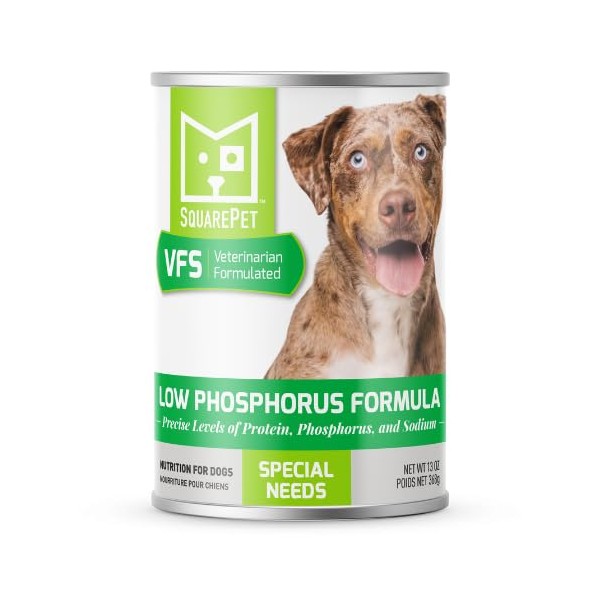 SquarePet VFS® Low Phosphorus Dog Food, Special Needs Formula, 13oz
