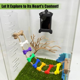 Daerky Jumping Spider Mirror, Small Animal Self-Observation Mirror, Jumping Spider Climbing Fence Accessories, Jumping Spider Training Decoration, Small Animal Habitat Decoration (Black, Square)