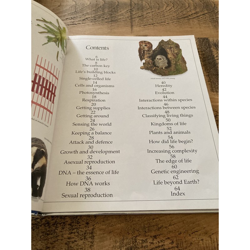 Life (Eyewitness Science)