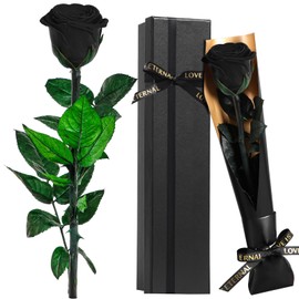 Touloube Eternal Infinity Roses, Black Rose Flowers Gifts for Women, for Mum, Girlfriend, Wife, Girlfriends, Eternal Rose, Birthday Gift, Anniversary Gift, Wife