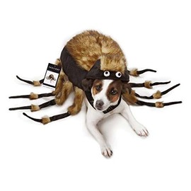 Zack & Zoey Fuzzy Tarantula Spider Dog Costume Dress Your Pup As Your Favorite Arachnid !(Large)