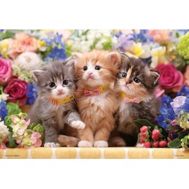 Beverly 300-139 Jigsaw Puzzle, Flower Time for Kittens (10.2 x 15.0 inches (26 x 38 cm), Made in Japan